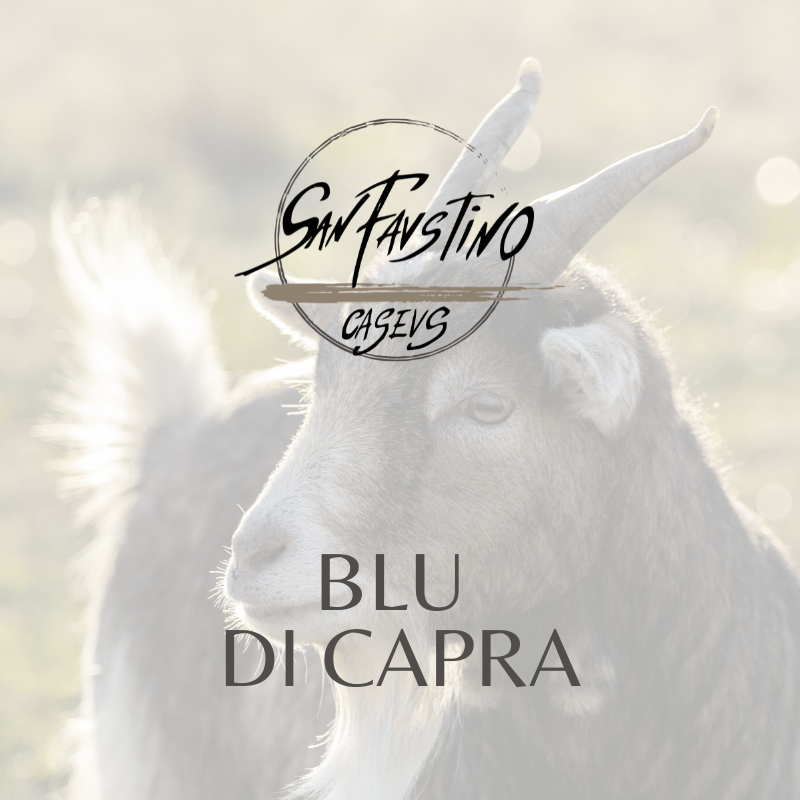 BLU DI CAPRA - Formaggio - Caseificio San Faustino